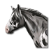 horse_73x73.png